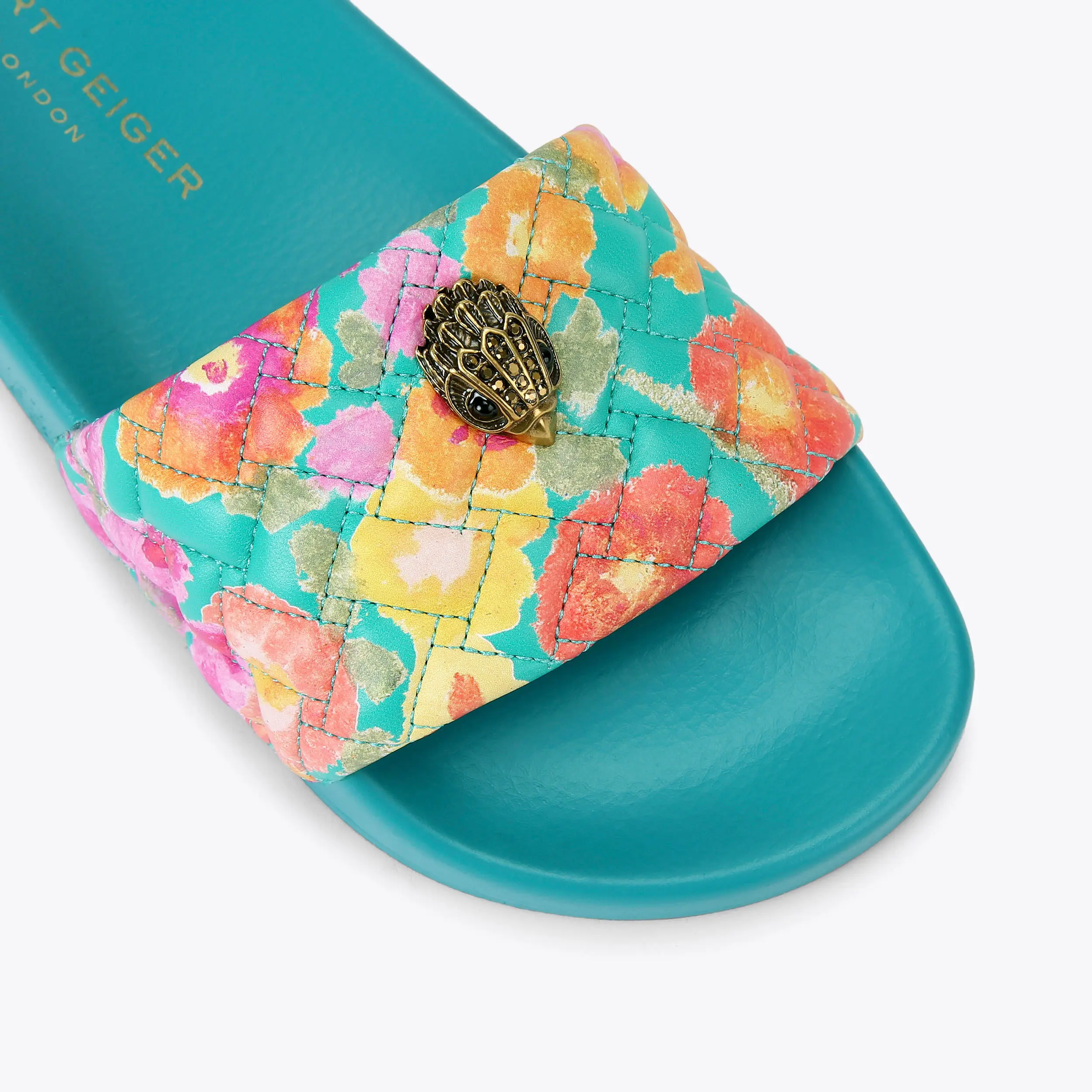 723-meena-eagle-slide-1.webp