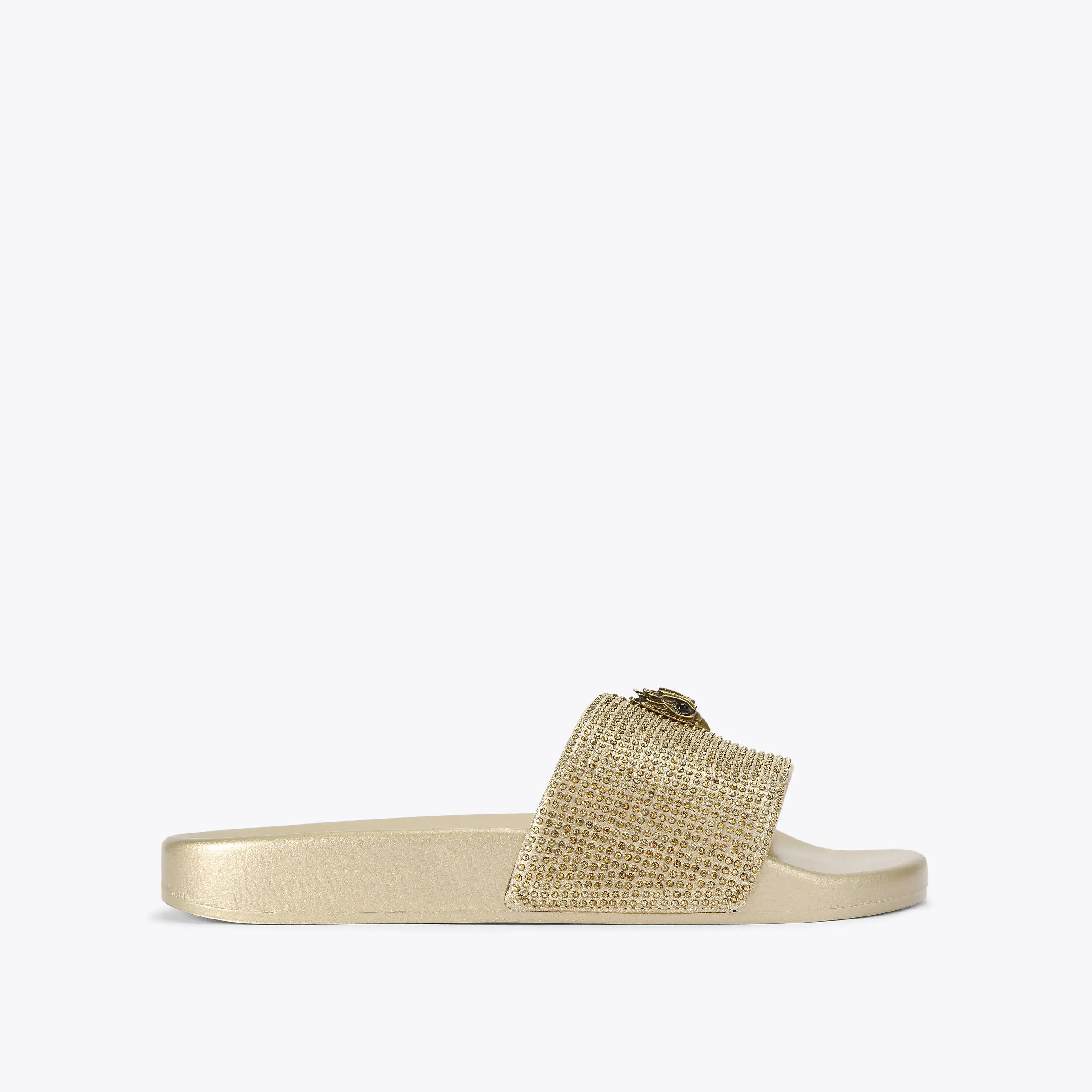 Meena Eagle Slide